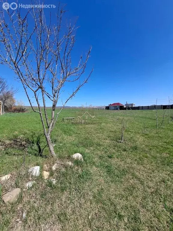 Участок в Доброе, Широкая улица, 29 (1123 м) - Фото 2