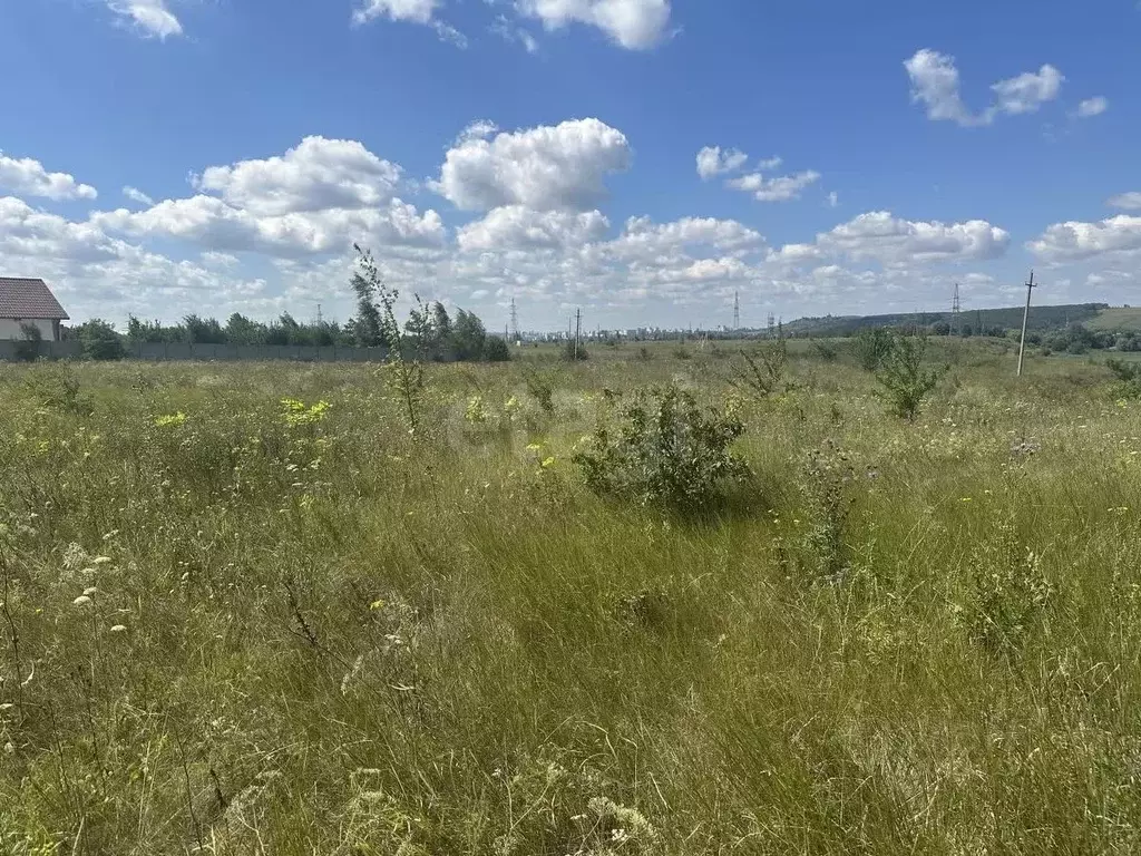 Участок в Белгородская область, Белгородский район, Новосадовское ... - Фото 1