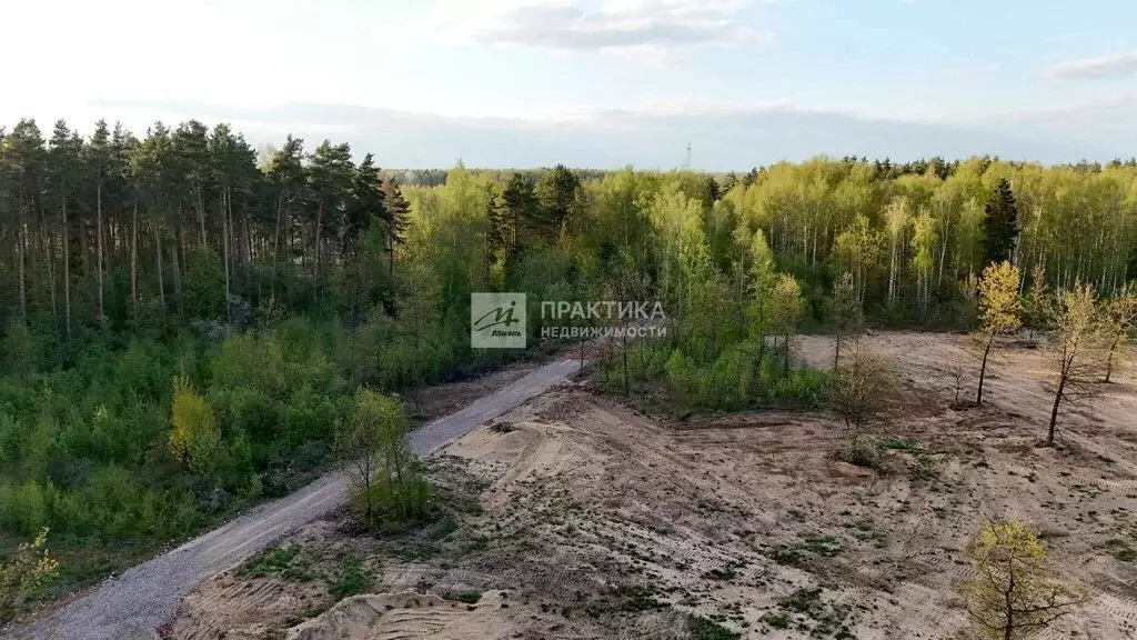 Участок в Московская область, Богородский городской округ, КП ... - Фото 0