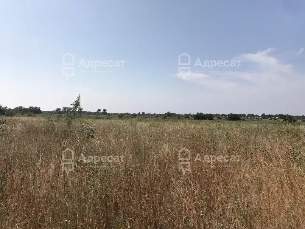 Участок в Волгоградская область, Среднеахтубинский район, Куйбышевское ... - Фото 2