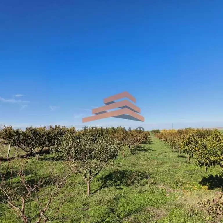 Участок в Крым, Кировский район, Первомайское с/пос, с. Отважное ул. ... - Фото 2