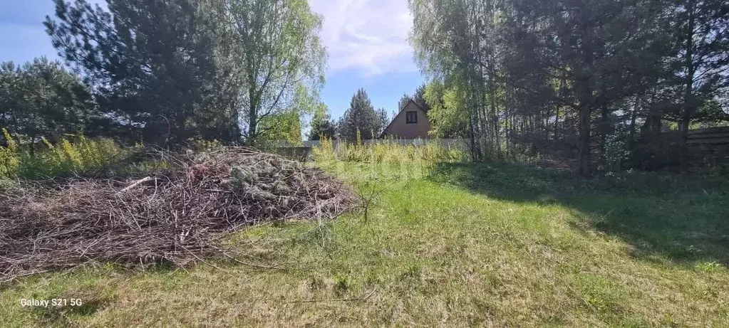 Участок в Калужская область, Дзержинский муниципальный округ, Льва ... - Фото 1