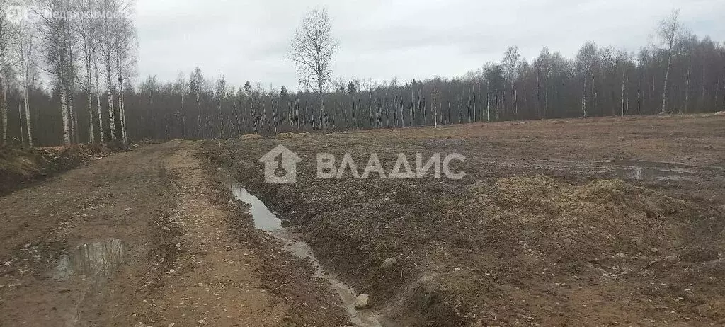 Участок в Всеволожский район, Свердловское городское поселение, ... - Фото 0