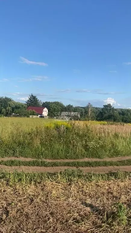 Участок в Брянская область, Жуковский муниципальный округ, с. Овстуг ... - Фото 1