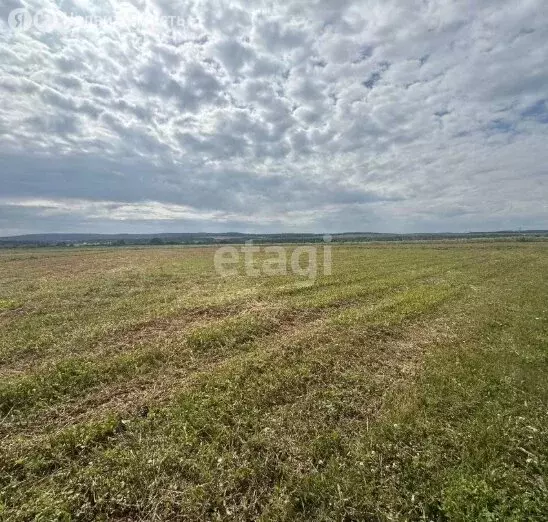Участок в Пермский муниципальный округ, посёлок Красный Восход (16.51 ... - Фото 2