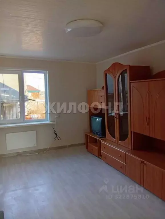 Дом в Новосибирская область, Колыванский район, с. Новотырышкино ... - Фото 2