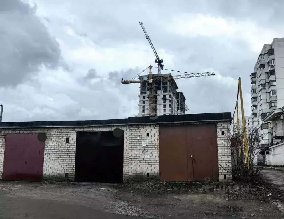 Гараж в Белгородская область, Белгород Славянская ул. (26 м) - Фото 1