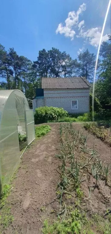 Дом в Брянская область, Брянск Рассвет садовое общество,  (30 м) - Фото 2