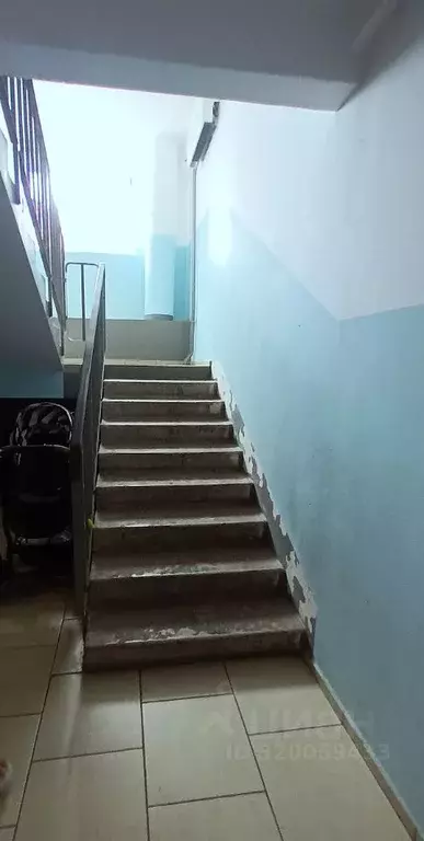 Студия Самарская область, Тольятти Калмыцкая ул., 33 (19.0 м) - Фото 2