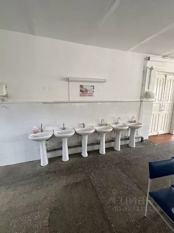 Помещение свободного назначения в Дагестан, Махачкала ул. Дахадаева, ... - Фото 2