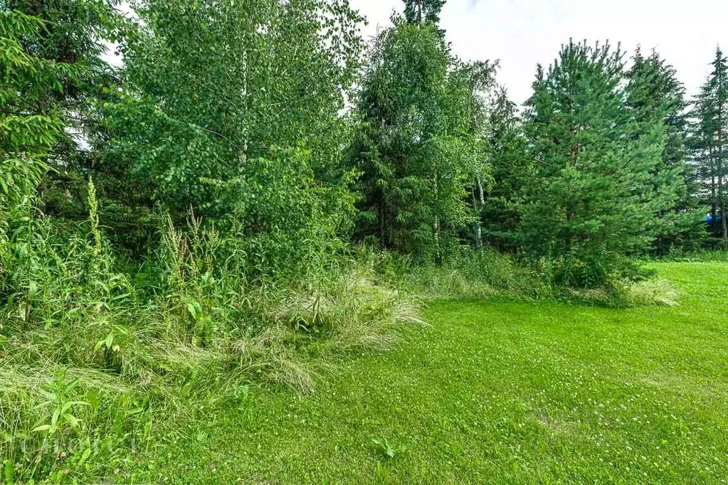 Участок в Московская область, Истра муниципальный округ, д. Чесноково, ... - Фото 2