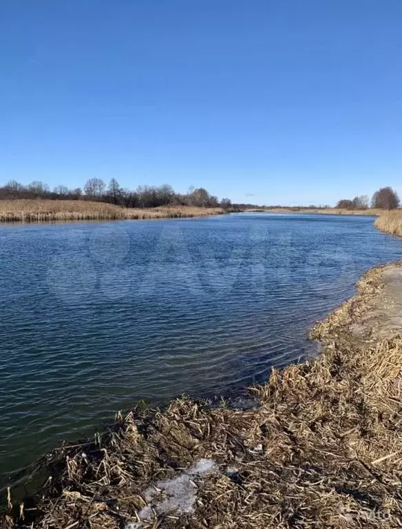 Нелжа детский парк Рамонский район