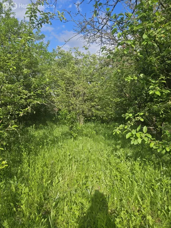 Участок в Новочеркасск, Окружной переулок, 20 (9.5 м) - Фото 0