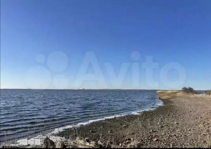 2-к кв. Калининградская область, Калининград Заводская ул., 3 (44.0 м) - Фото 2