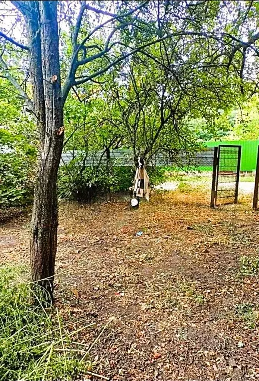 Участок в Краснодарский край, Краснодар Железнодорожник садовое ... - Фото 0