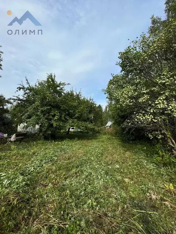 Участок в Вологодская область, Лиана садоводческое товарищество  (6.0 ... - Фото 0
