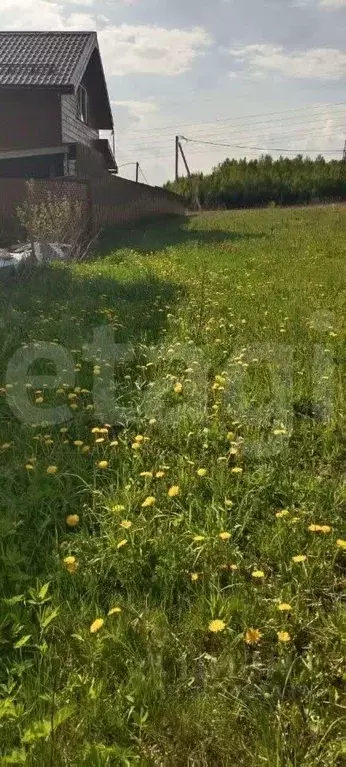 Участок в Московская область, Пушкинский городской округ, Ашукино пгт ... - Фото 1