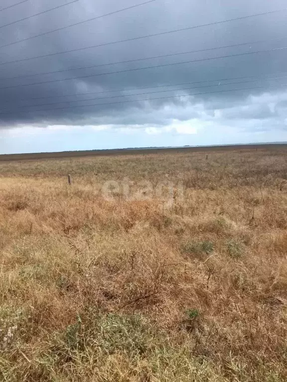 Участок в Крым, Черноморский район, с. Новосельское, Таврия СНТ ул. ... - Фото 1
