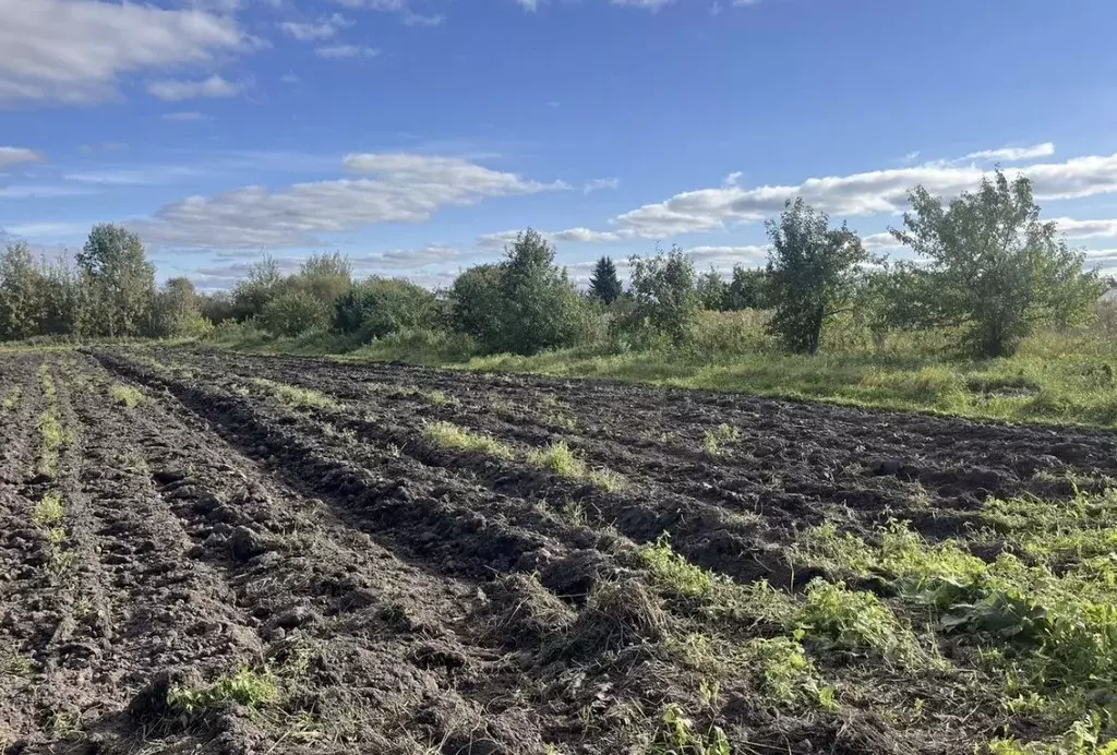 Участок в Новгородская область, Новгородский район, Бронницкое с/пос, ... - Фото 2