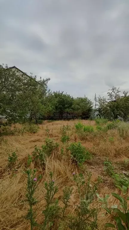 Дом в Ростовская область, Новочеркасск Троицкая пл. (26 м) - Фото 2