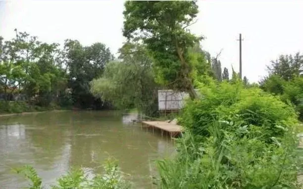 Участок в Краснодарский край, Славянский район, Черноерковское с/пос, ... - Фото 1