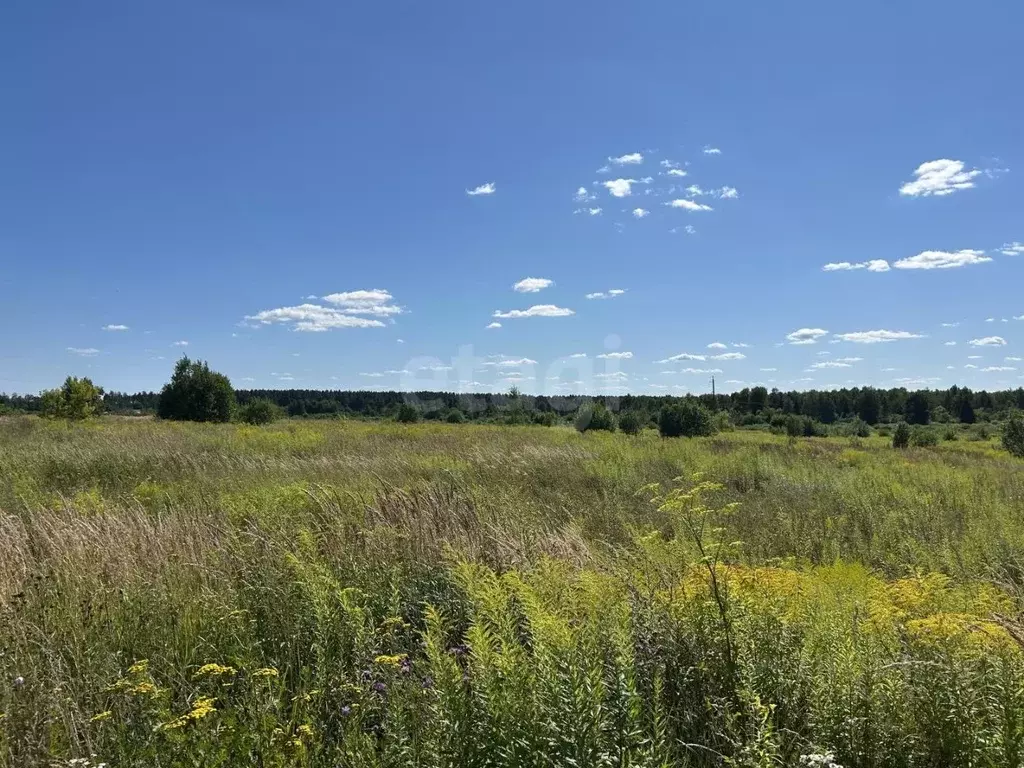 Участок в Брянская область, Брянск пос. Антоновка,  (14.0 сот.) - Фото 1