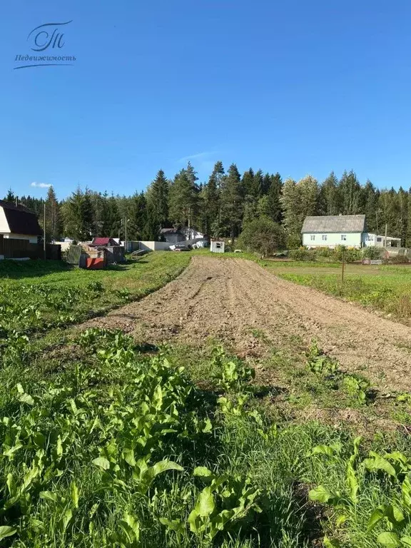 Участок в Ленинградская область, Гатчинский район, д. Яскелево  (15.0 ... - Фото 1