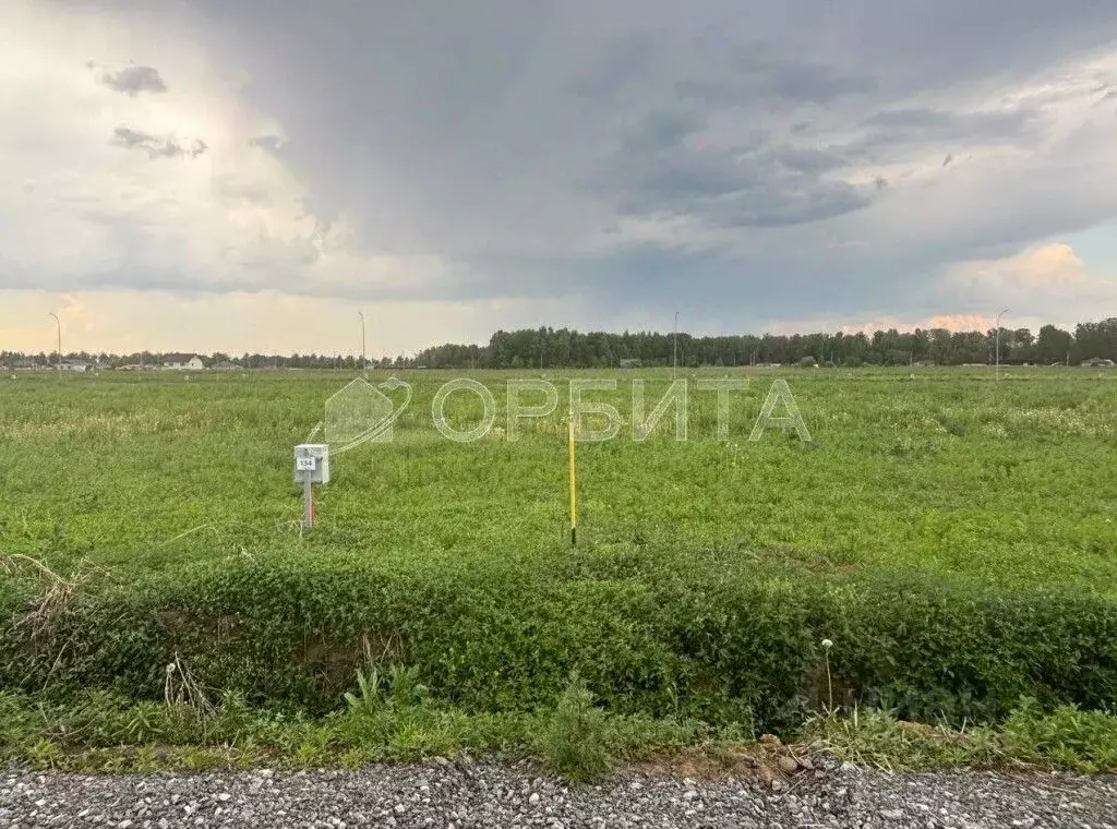 Участок в Тюменская область, Тюменский район, с. Каменка  (11.6 сот.) - Фото 0