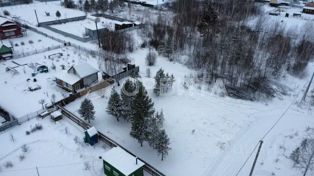 Участок в Тюменская область, Тюменский район, Нива СНТ ул. Урожайная, ... - Фото 0