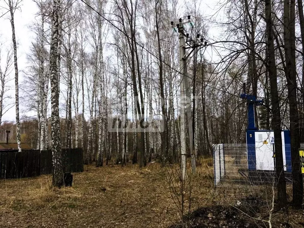 Участок в Тюменская область, Нижнетавдинский район, Зеленый Луг СНТ ... - Фото 1