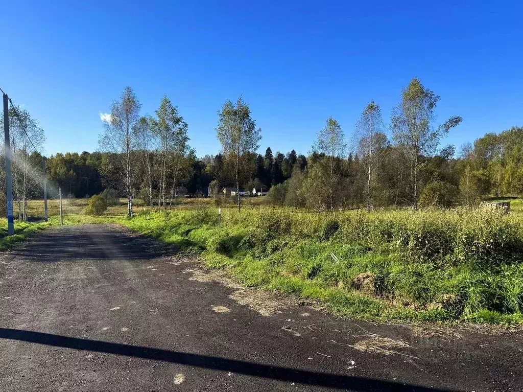 Участок в Московская область, Дмитровский муниципальный округ, Форест ... - Фото 2