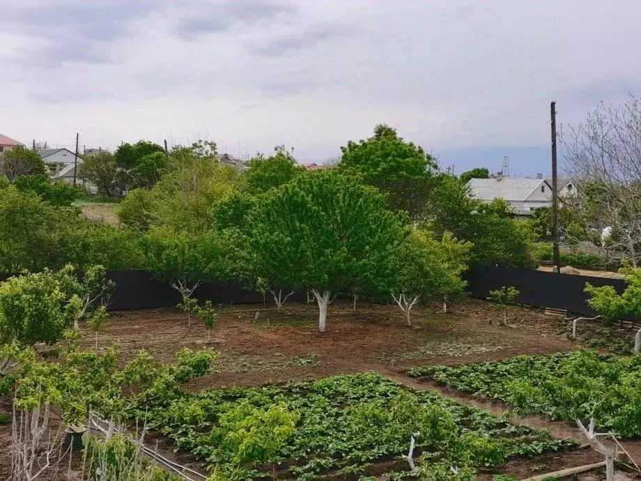 Дом в Крым, Черноморское пгт ул. Кирова (440 м) - Фото 2