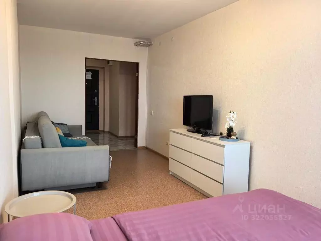 1-к кв. Томская область, Томск Большая Подгорная ул., 87блок4 (25.0 м) - Фото 2