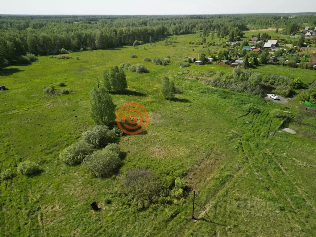 Участок в Тюменская область, Ялуторовский муниципальный округ, ... - Фото 2