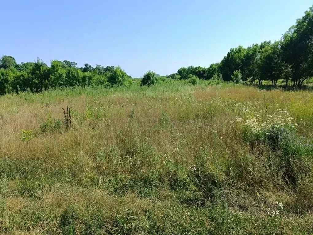 Участок в Краснодарский край, Новороссийск городской округ, с. Южная ... - Фото 1