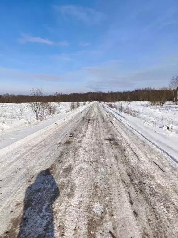 Участок в Новгородская область, Новгородский район, Трубичинское ... - Фото 2