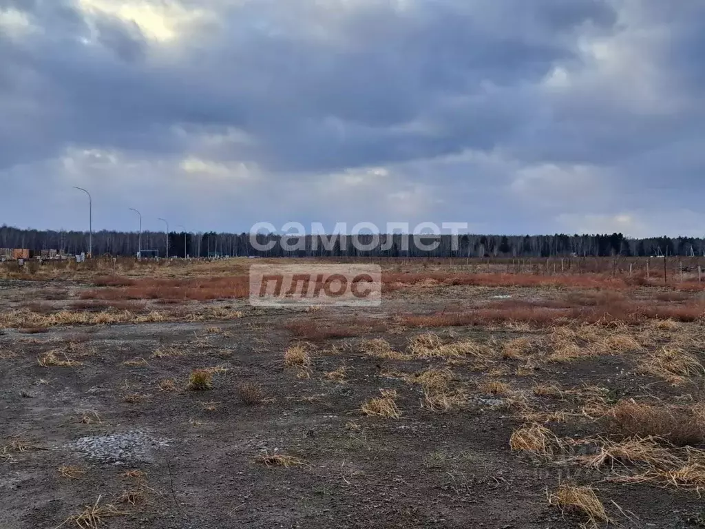Участок в Тюменская область, Тюменский район, с. Каменка  (15.0 сот.) - Фото 1