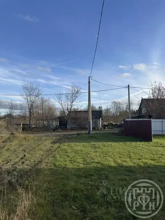 Участок в Ленинградская область, Волосовский район, Бегуницкое с/пос, ... - Фото 2