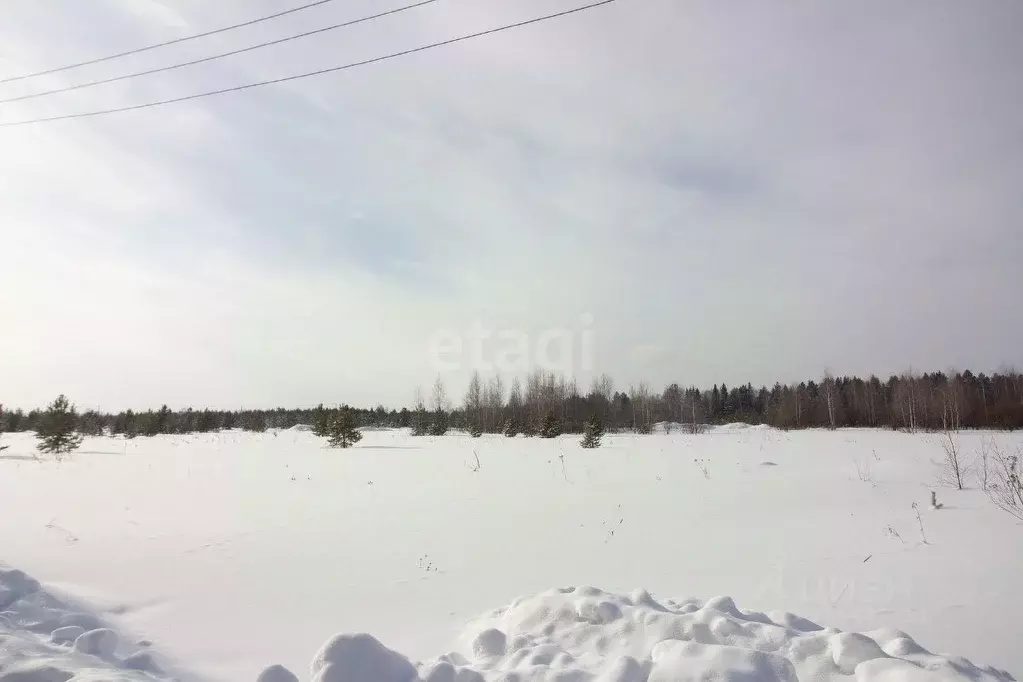 Участок в Свердловская область, Горноуральский муниципальный округ, с. ... - Фото 0