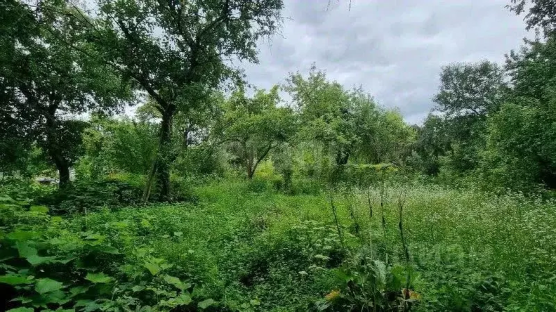 Участок в Брянская область, Брянск Строитель-3 садоводческое ... - Фото 1