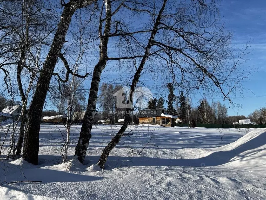 Участок в Новосибирская область, Новосибирский район, Барышевский ... - Фото 1