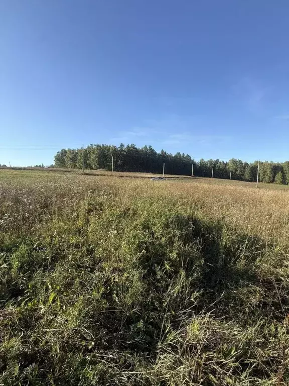 Участок в Иркутская область, Иркутский муниципальный округ, д. Карлук ... - Фото 1