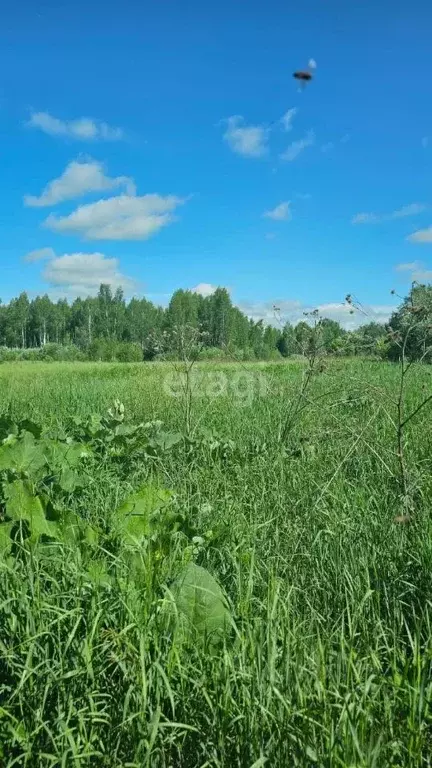 Участок в Тюменская область, Нижнетавдинский район, Моторостроитель ... - Фото 0