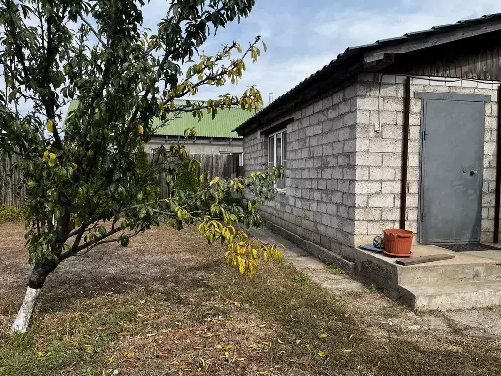 Дом в Волгоградская область, Волгоград ул. Мостостроителей, 14 (90 м) - Фото 1