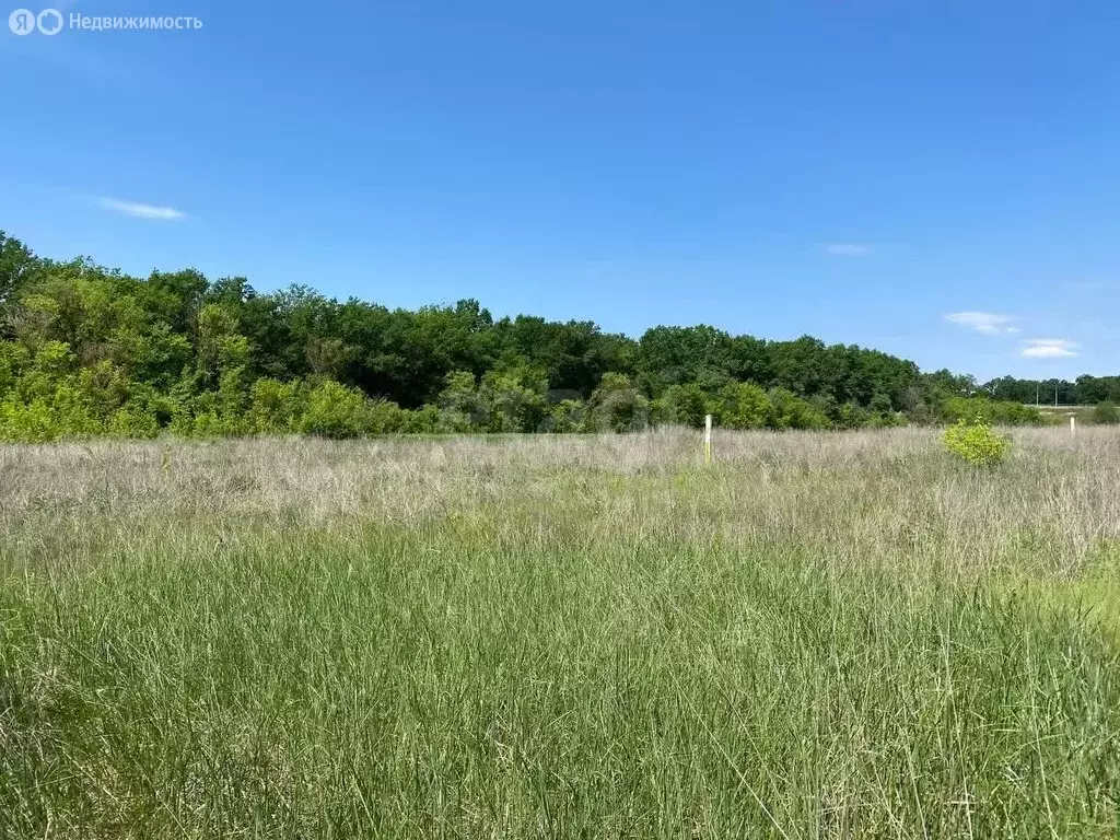 Участок в рабочий посёлок Разумное, улица Бажова (17.6 м) - Фото 1