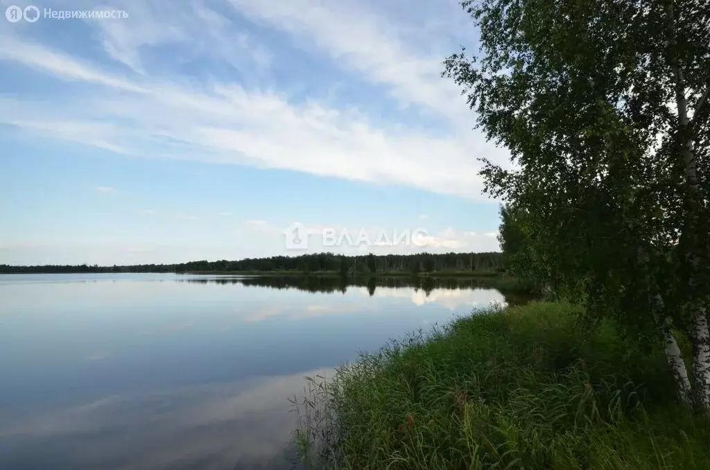 Участок в Московская область, городской округ Клин, деревня Подорки, ... - Фото 0