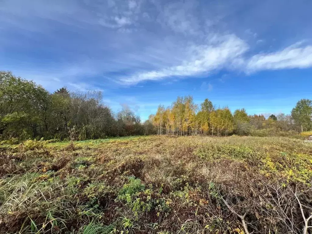 Участок в Вологодская область, пос. Надеево  (5.7 сот.) - Фото 2