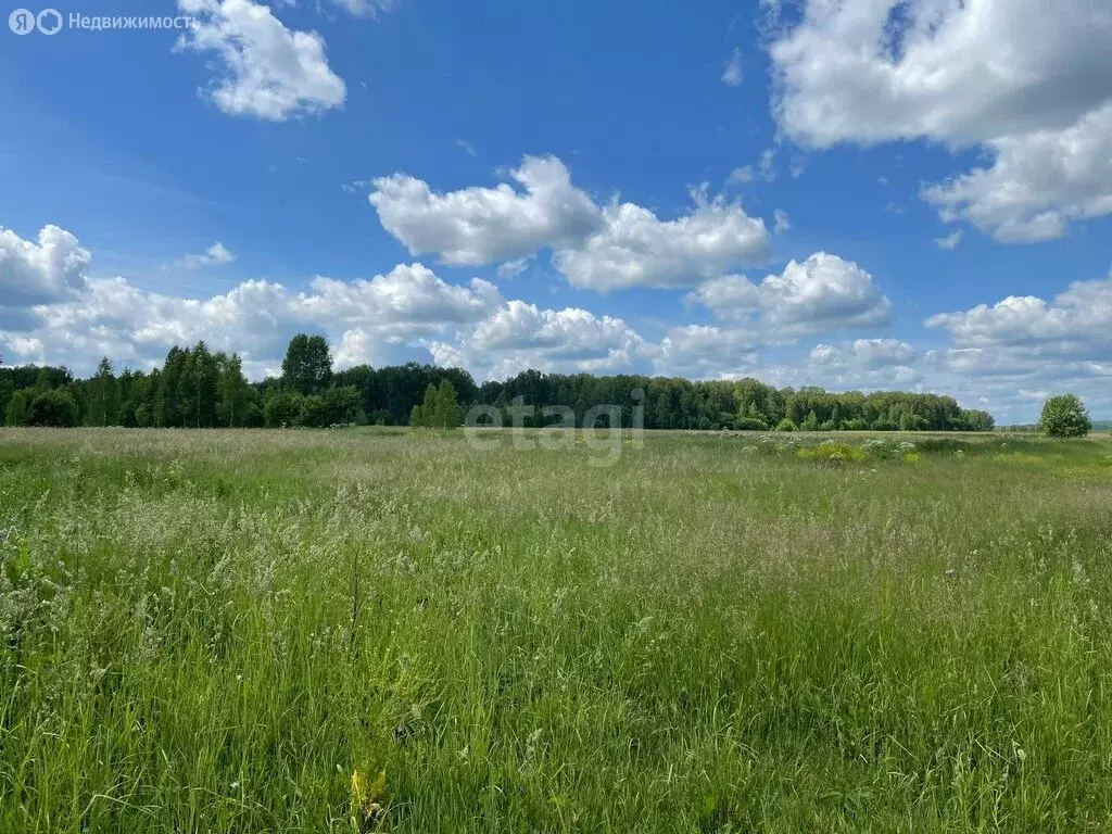 Участок в Плотниково, Центральная улица (15 м) - Фото 1