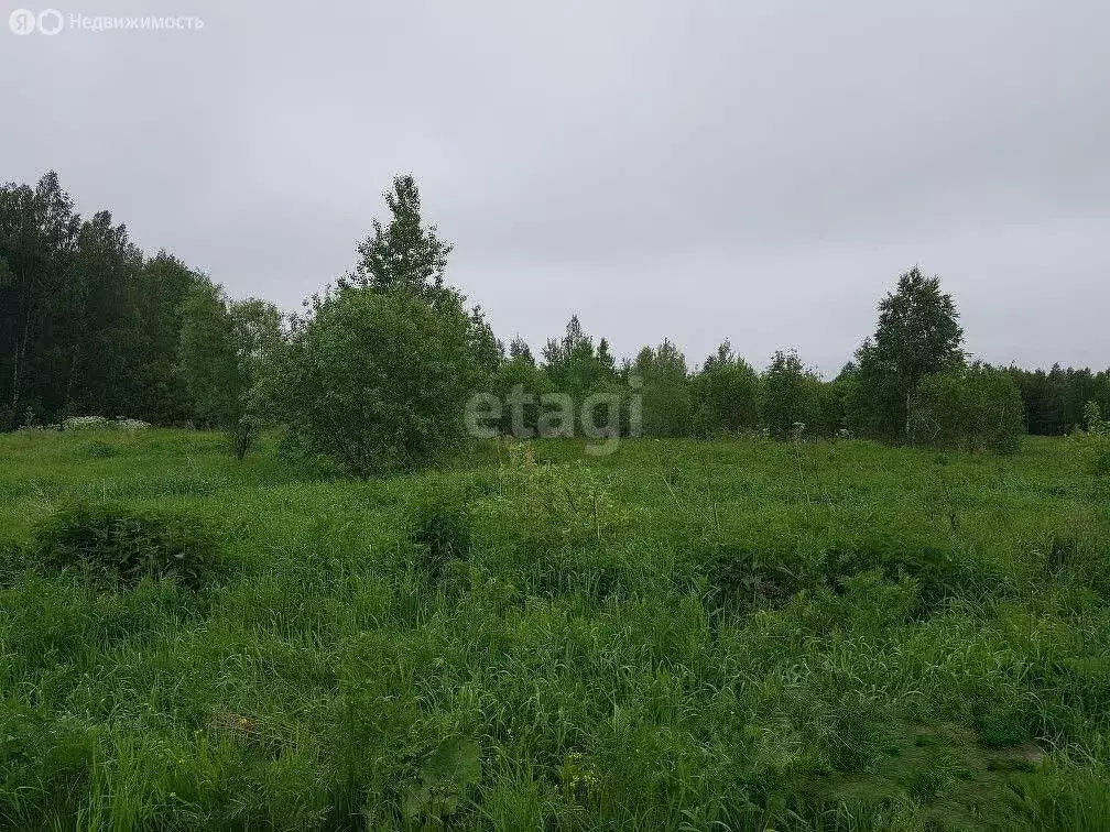 Участок в село Семилужки, Новая Нагорная улица (15.3 м) - Фото 1
