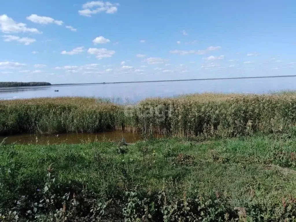 Дом в Тюменская область, Армизонский район, с. Иваново ул. 50 лет ... - Фото 0